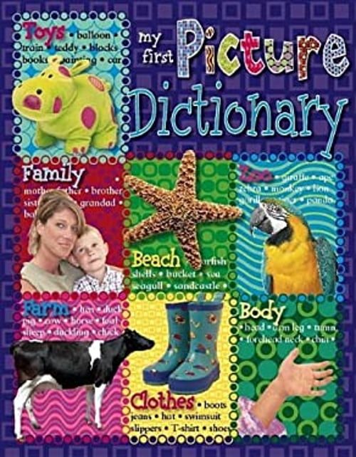 Pre-Owned My 2 in 1 Picture Dictionary (Board book) 1846101328 ...