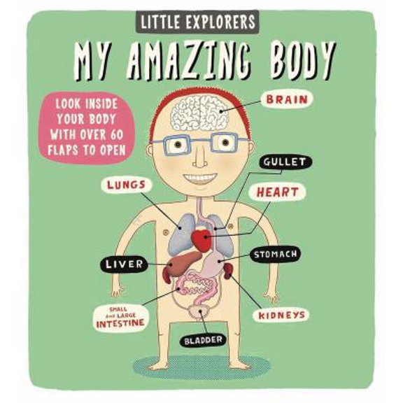 Pre-Owned Little Explorers: My Amazing Body (Board book) 1499800401 9781499800401