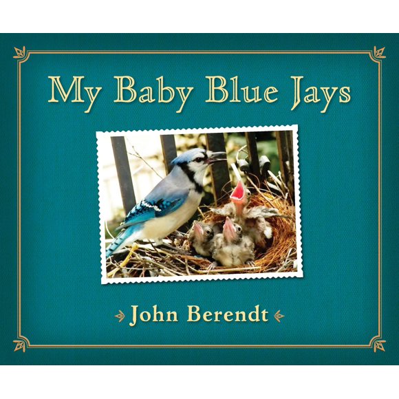 My Baby Blue Jays (Hardcover) by John Berendt