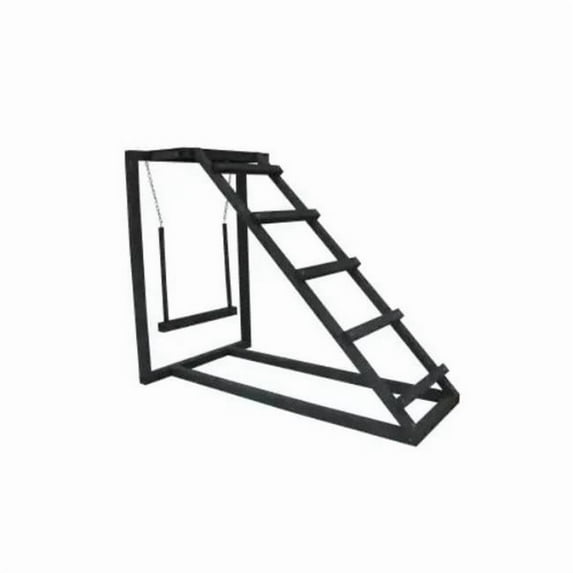 My Backyard Farm 140731 Ladder & Swing Active Set