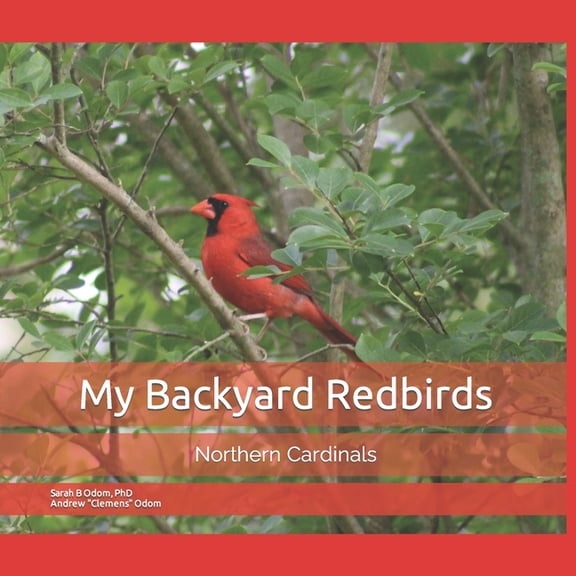 Backyard Birds My Backyard Redbirds: Northern Cardinals, Book 1, (Paperback)
