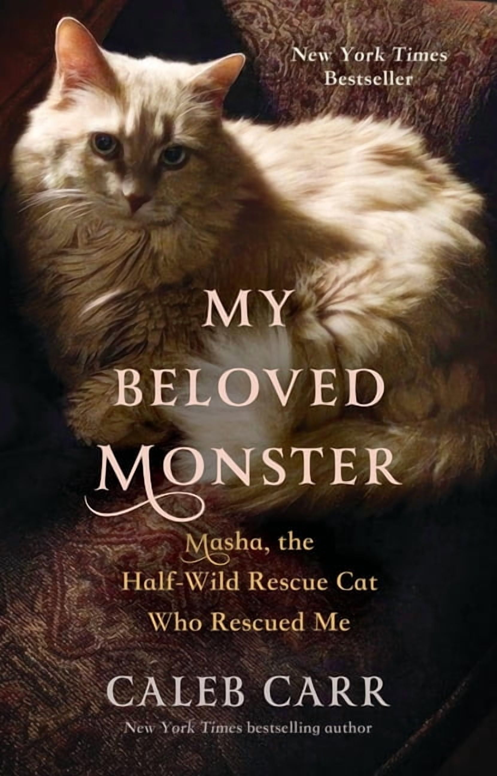 My Beloved Monster: Masha, the Half-Wild Rescue Cat Who Rescued Me, (Hardcover)