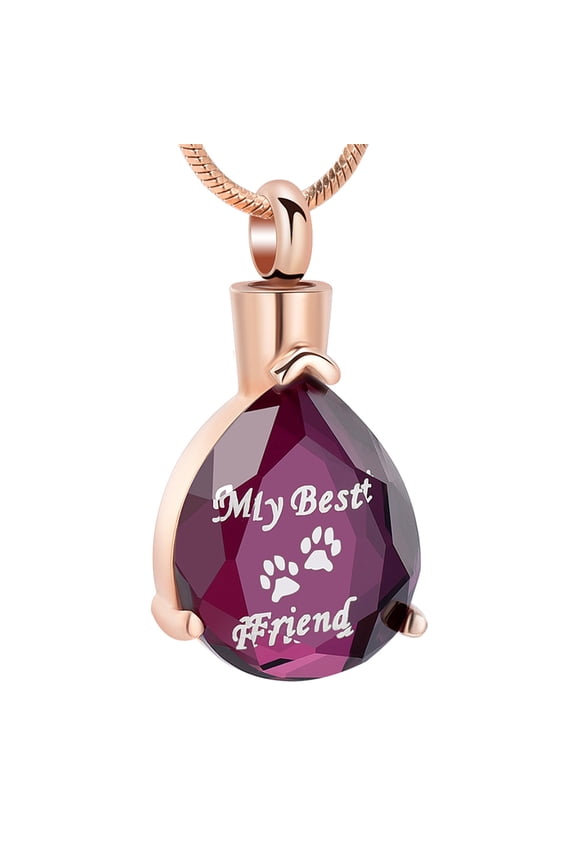 My Best Friend Crystal Teardrop Cremation Jewelry for Ashes Urn Necklace Lockets for Human Ashes Pendent for Ashes and Chain Pet Ashes Holder