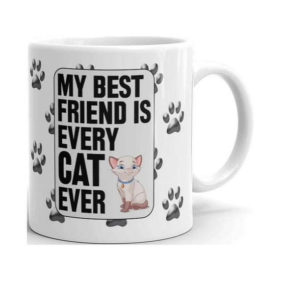 My Best Friend is Every Cat Ever Coffee Tea Ceramic Mug Office Work Cup Gift