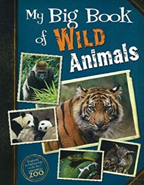 Pre-Owned My Big Book of Wild Animals (Paperback) 0824955439 ...