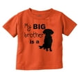 thumbnail image 1 of My Big Brother is a Dog Pet Lover Toddler Boy Girl T Shirt Infant Toddler Brisco Brands 12M, 1 of 6