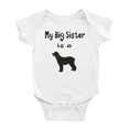 thumbnail image 1 of My Big Sister Is A Curly-Coated Retriever Dog Funny Baby Clothing Bodysuits Boy Girl Unisex, 1 of 5