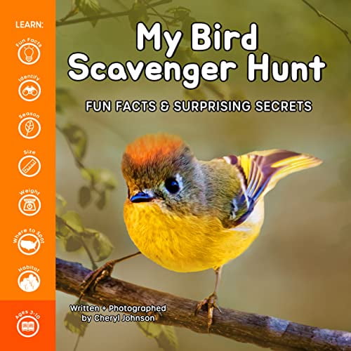 Pre-Owned My Bird Scavenger Hunt (Paperback) 1956462902 9781956462906