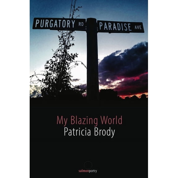 My Blazing World (Paperback)