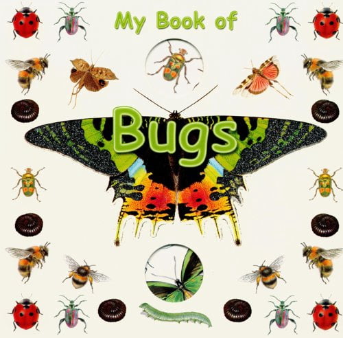 Pre-Owned My Book of Bugs (Board Book) (Unknown) 0545090539 ...