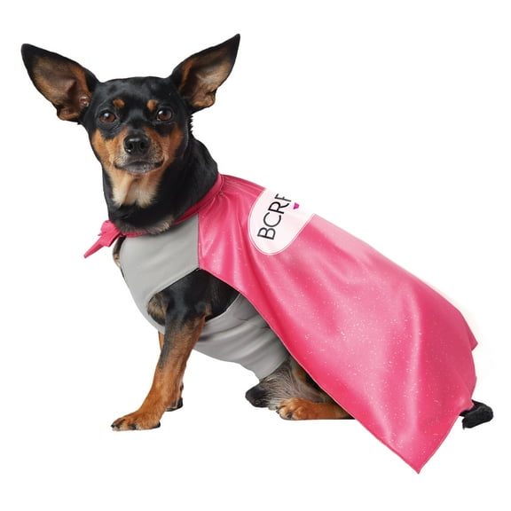 My Breast Relief Cancer Foundation Hero Dog Costume