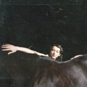 My Brightest Diamond - Bring Me the Workhorse - Music & Performance - CD