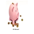 thumbnail image 1 of My Budget: Your Ultimate Budgeting Tool (Paperback), 1 of 1
