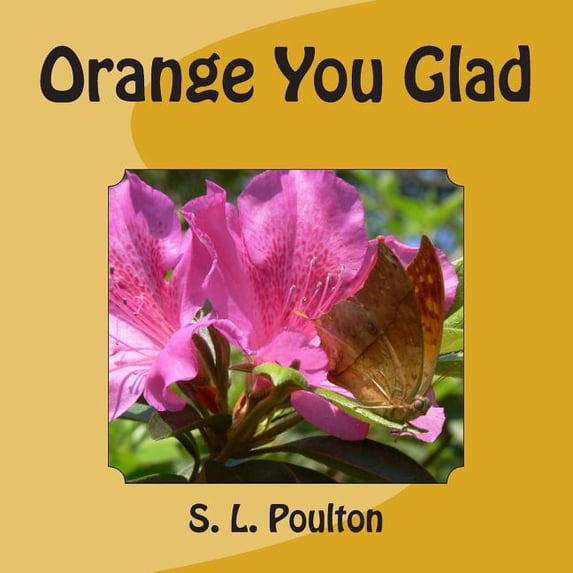 My Color Friends Orange You Glad, Book 2, (Paperback)
