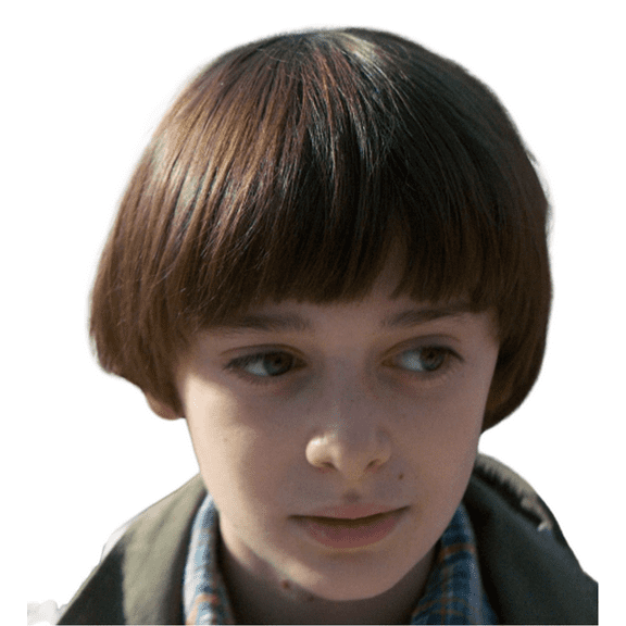 My Costume Wigs Short Black Cosplay Wig-1960s Men Synthetic Bowl Cut Mushroom Hair Anime Wigs Stranger Costume Wig (Black)