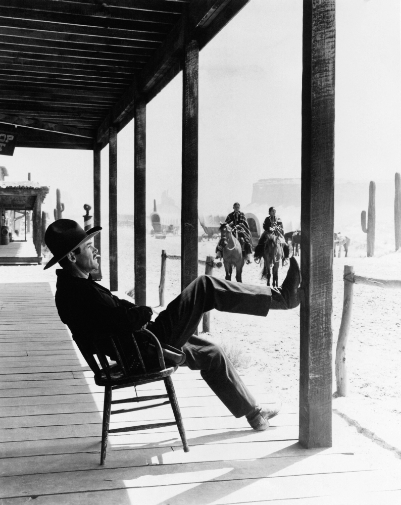 My Darling Clementine Canvas Art - (16 x 20)
