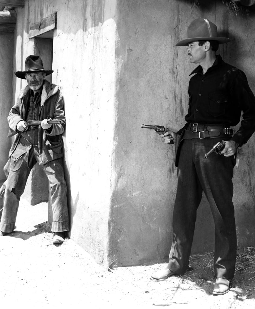 My Darling Clementine Canvas Art - (16 x 20)