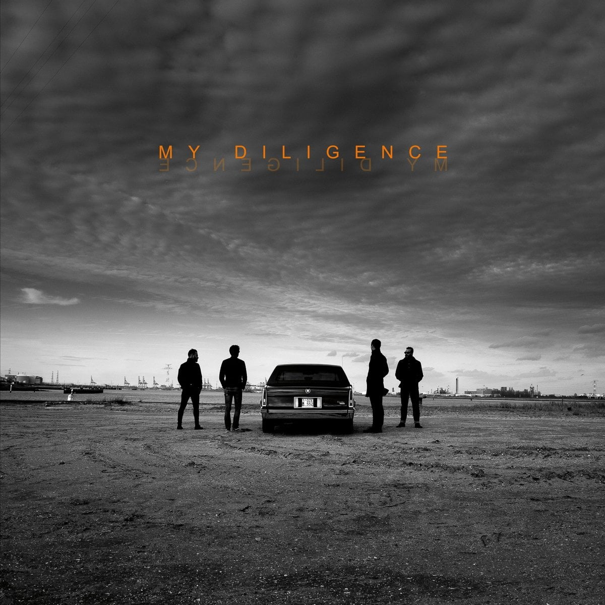 My Diligence - Sun Rose - Vinyl