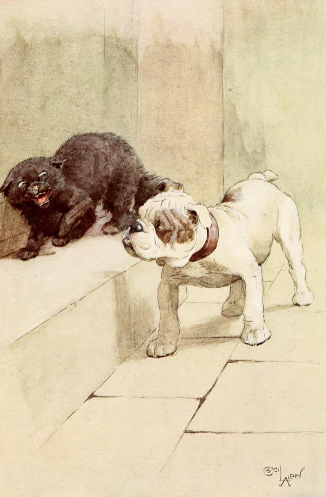My Dog 1913 Defensive cat Canvas Art - Cecil Aldin (24 x 36)