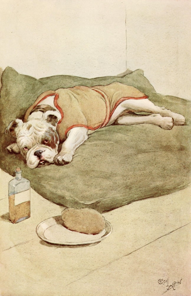 My Dog 1913 Ill in bed Canvas Art - Cecil Aldin (18 x 24)
