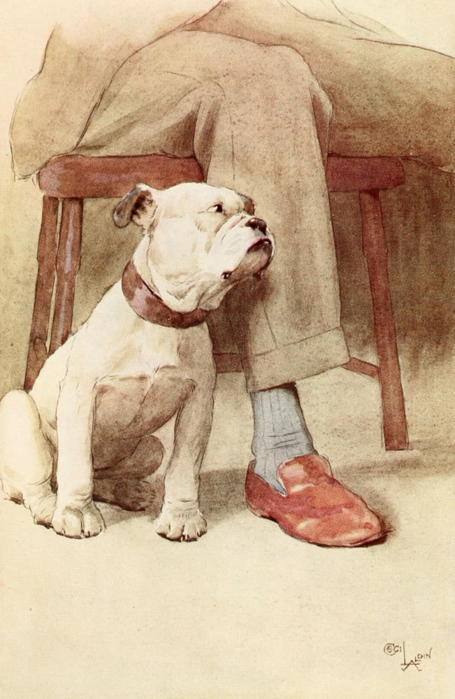 My Dog 1913 Love Canvas Art - Cecil Aldin (24 x 36)