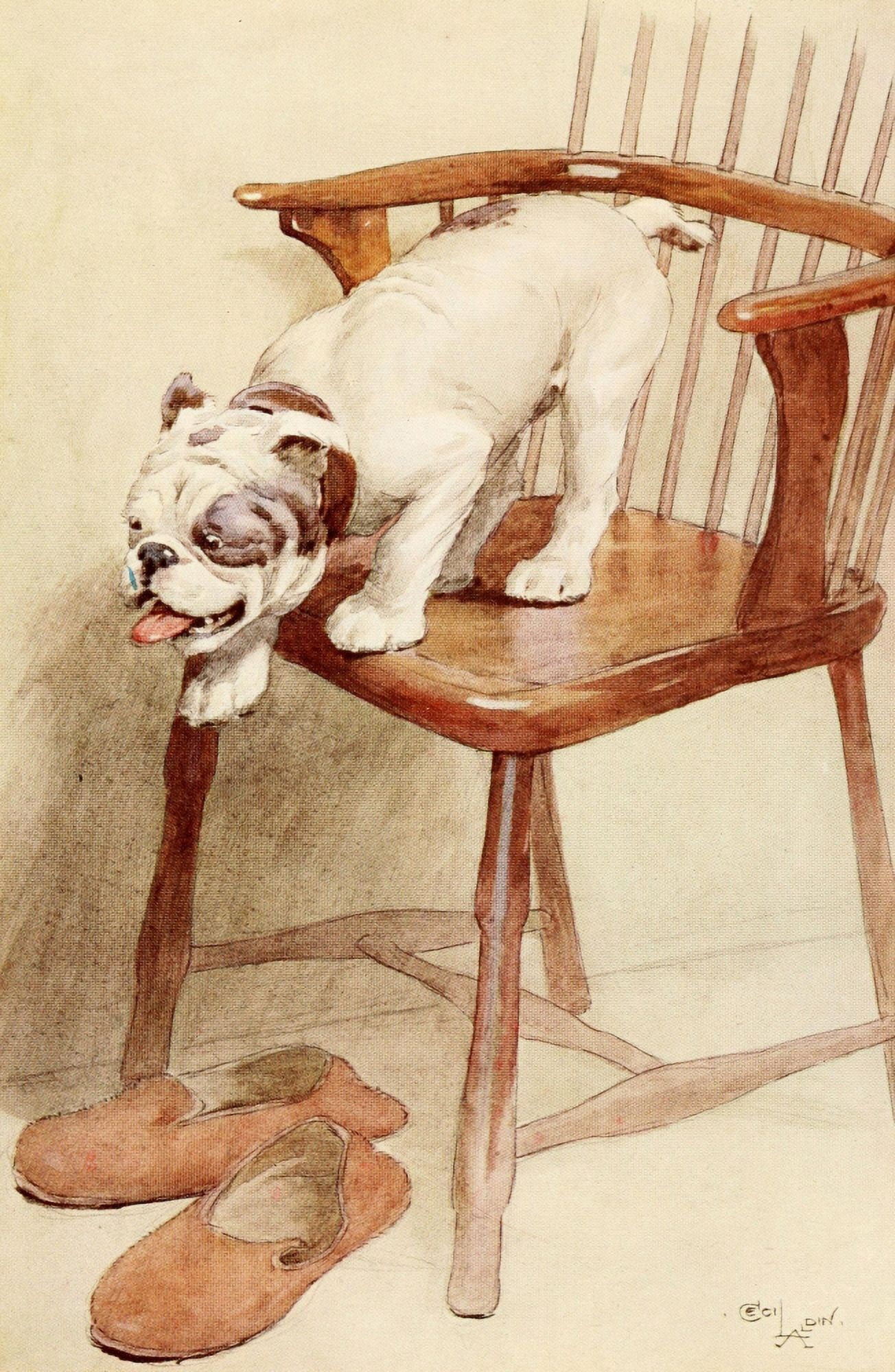 My Dog 1913 Slippers Canvas Art - Cecil Aldin (18 x 24)