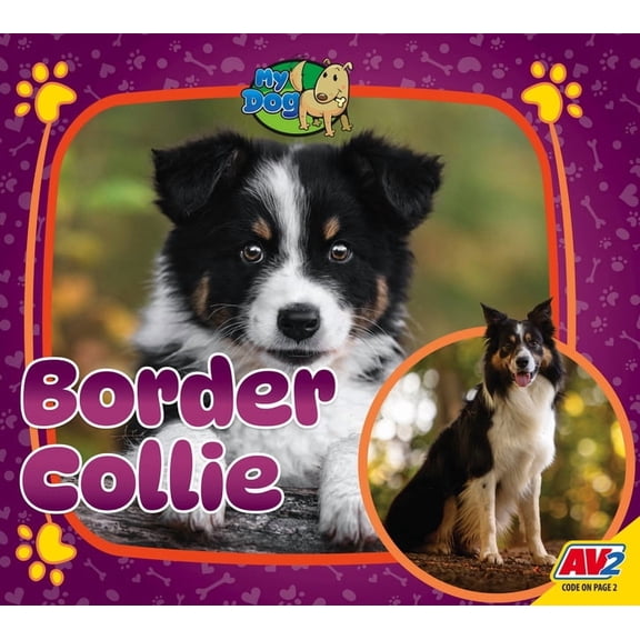My Dog Border Collie, (Paperback)