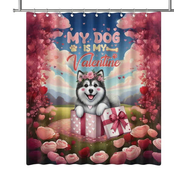 My Dog Is My Valentine Cute Alaskan Malamute in Gift Box Shower Curtain Alaska Mal Dog Lovers Gifts Waterproof Bathroom Bathtub Curtain - 3006