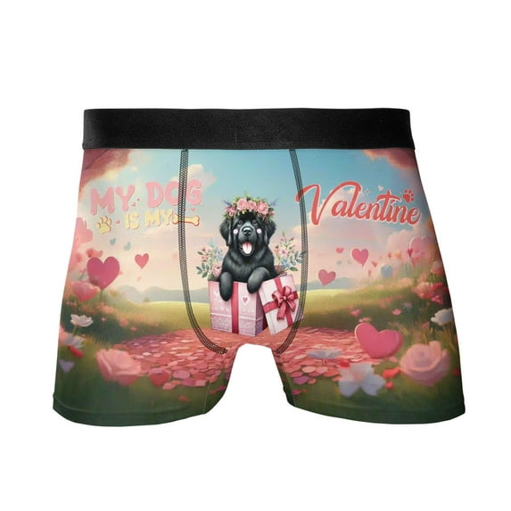 My Dog Is My Valentine Cute Newfoundland in Gift Box All Over Print Boxer Briefs Underwear for Men Dad Newfie Dog Lover Gifts - 03006