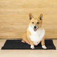 thumbnail image 1 of My Doggy Place Dog Mat for Muddy Paws, Washable Dog Dog Mat, Charcoal, 1 of 8