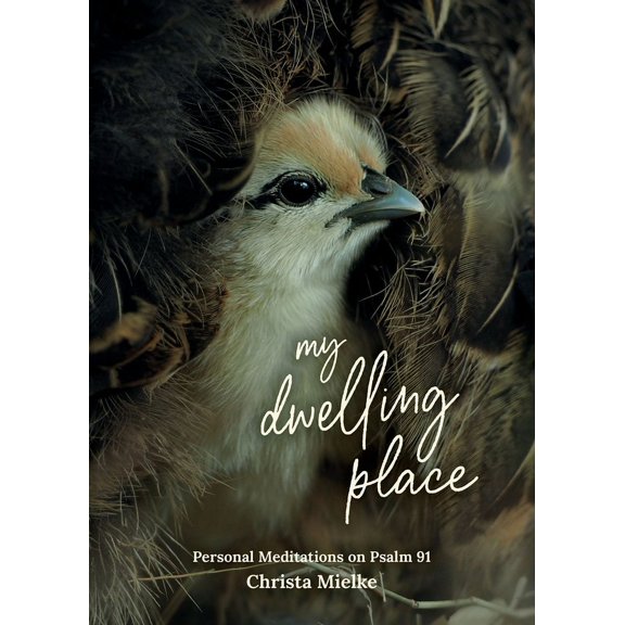 My Dwelling Place: Personal Meditations on Psalm 91 (Paperback)