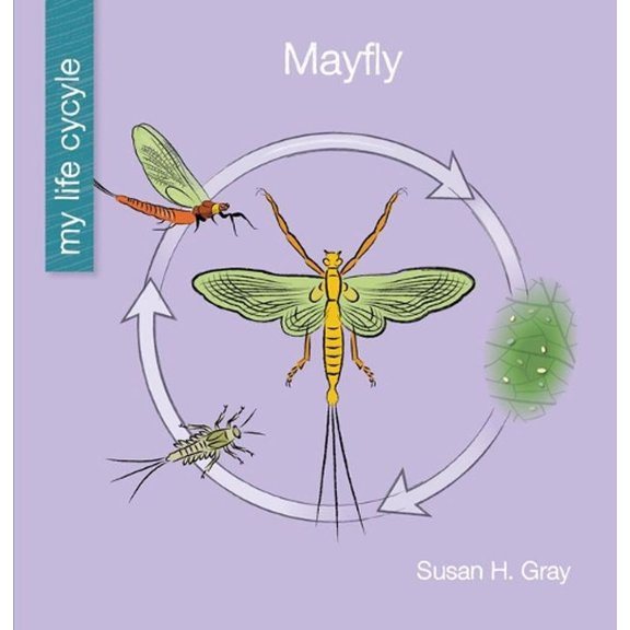 Pre-Owned My Early Library: My Life Cycle: Mayfly (Paperback)