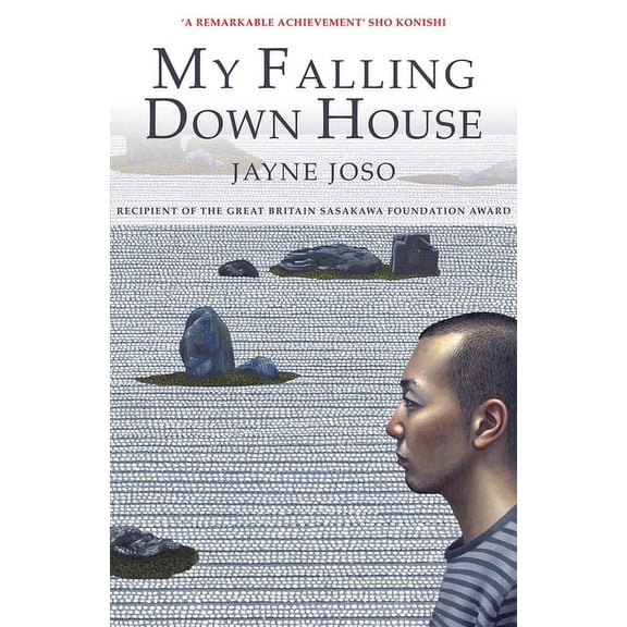 My Falling Down House (Paperback)
