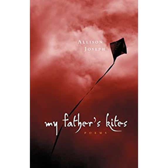 Pre-Owned My Father's Kites (Paperback) 098241692X 9780982416921