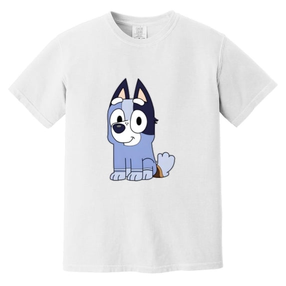My Favorite Cousin Gave Me This Funny Family Joke Gift Comfort Color T-Shirt, Unisex, up to size 4XL