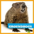 My First Animal Library Groundhogs (Hardcover)