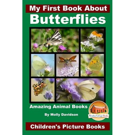 My First Book About Butterflies (Paperback)