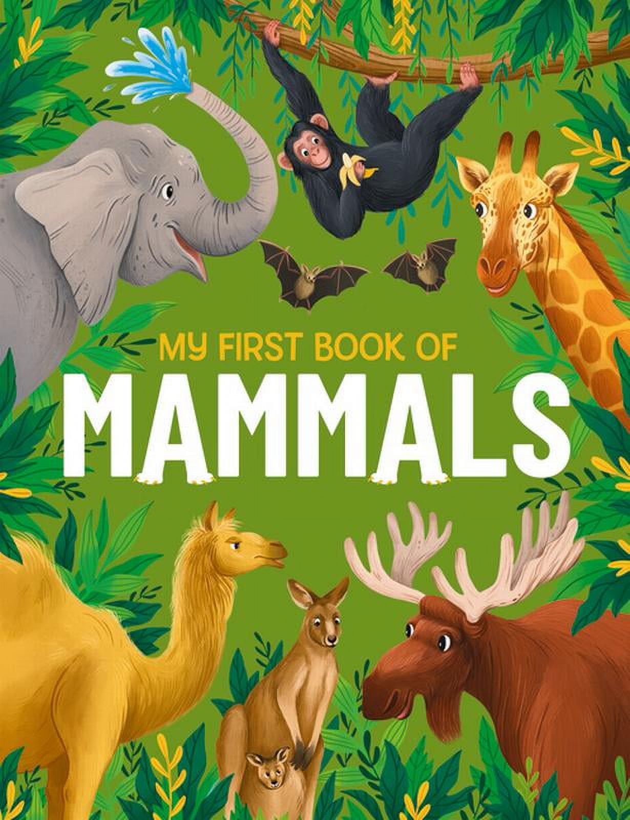My First Book Of...: My First Book of Mammals: An Awesome First Look at ...