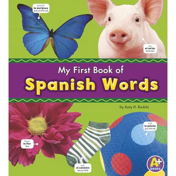 Pre-Owned My First Book of Spanish Words (Library Binding) 9781429632980