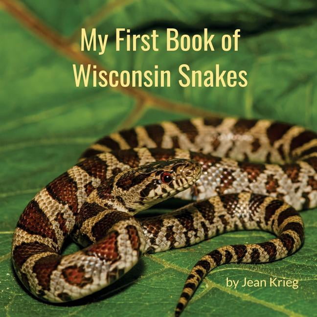 Wisconsin Snake Map Snakes Wisconsin