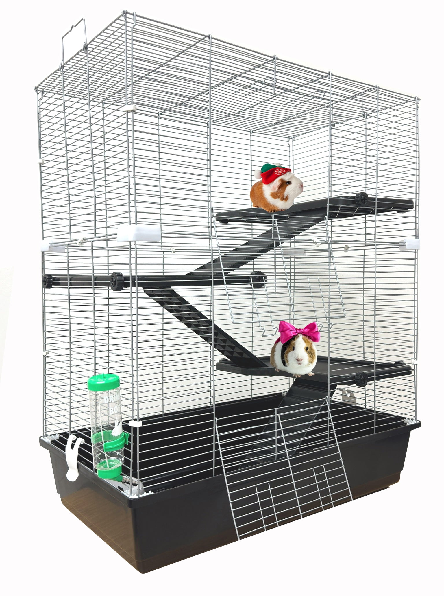 All Living Things Rat Starter