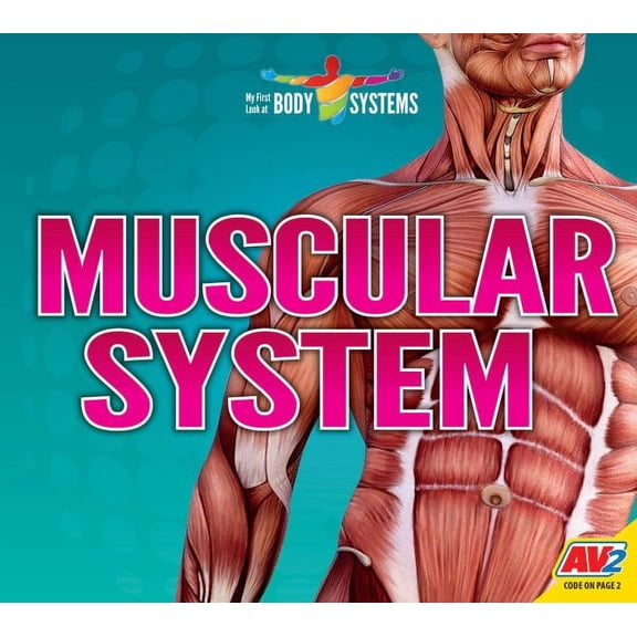My First Look at Body Systems: Muscular System (Hardcover)