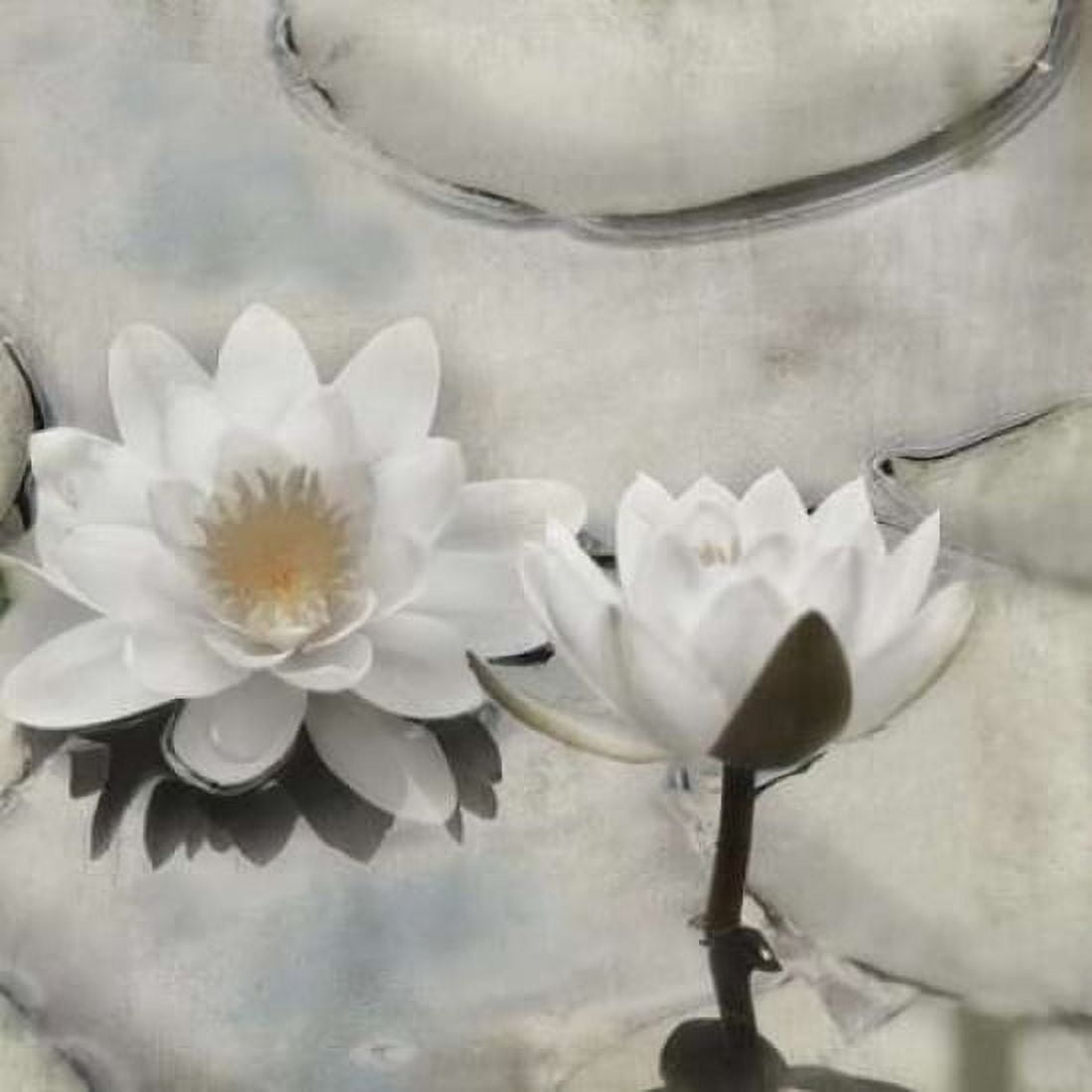 My Garden Pond II Canvas Art - Irene Weisz (24 x 24)