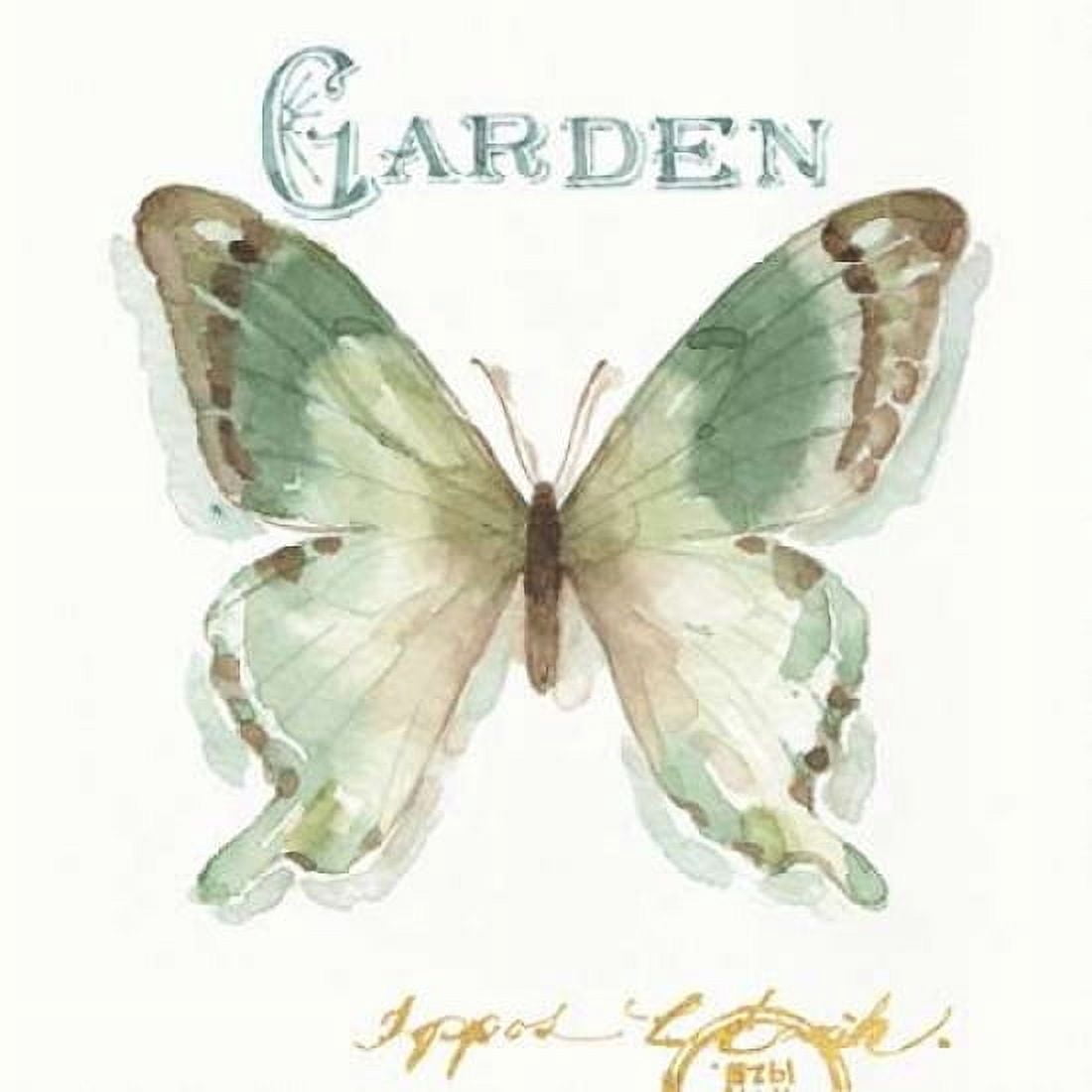 My Greenhouse Butterflies III Canvas Art - Audit Lisa (24 x 24)