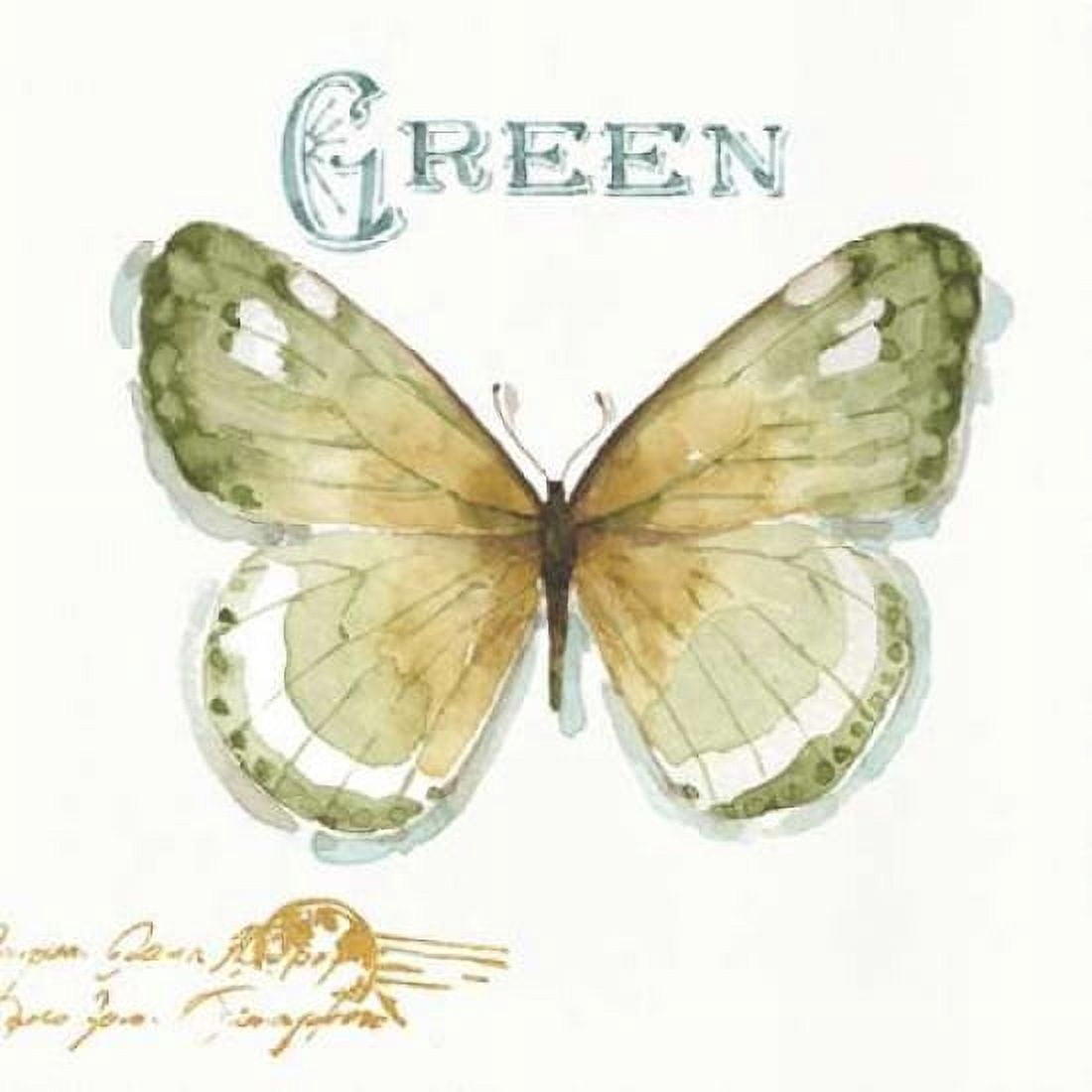 My Greenhouse Butterflies IV Canvas Art - Audit Lisa (24 x 24)