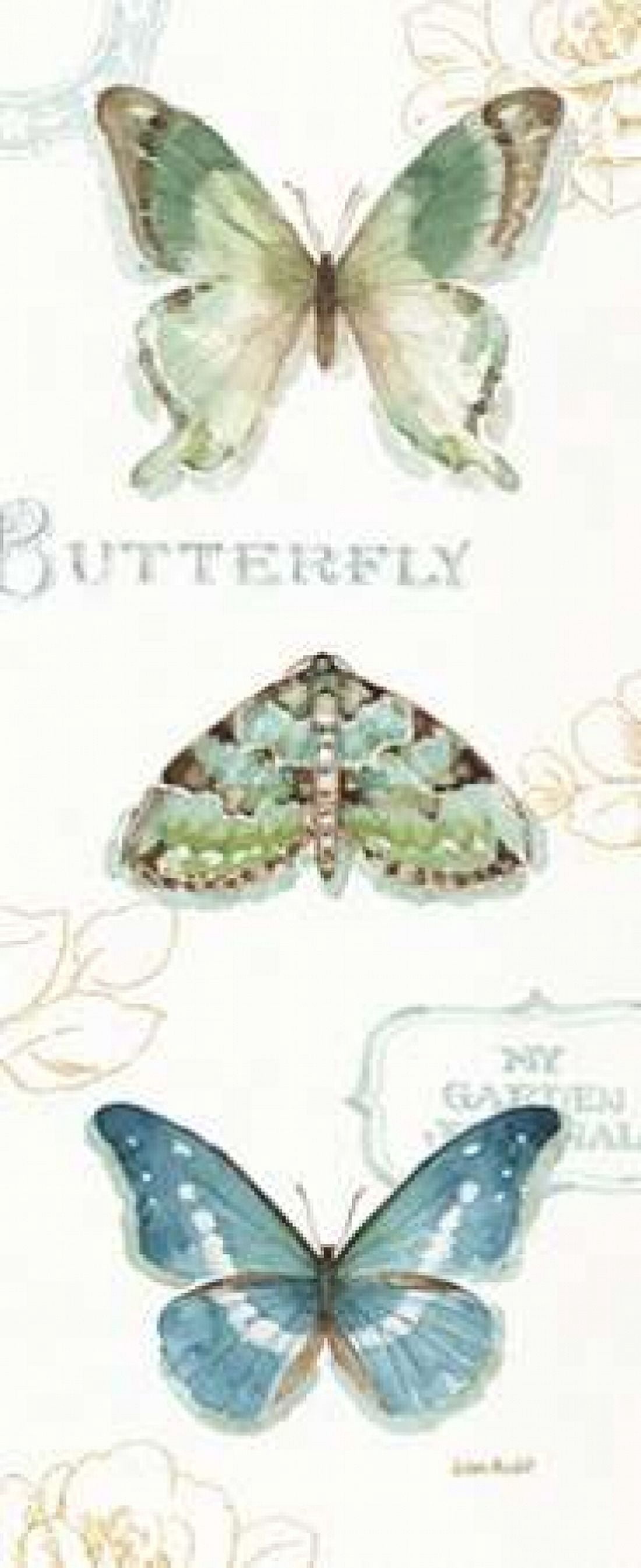 My Greenhouse Butterflies VI Canvas Art - Audit Lisa (10 x 20)