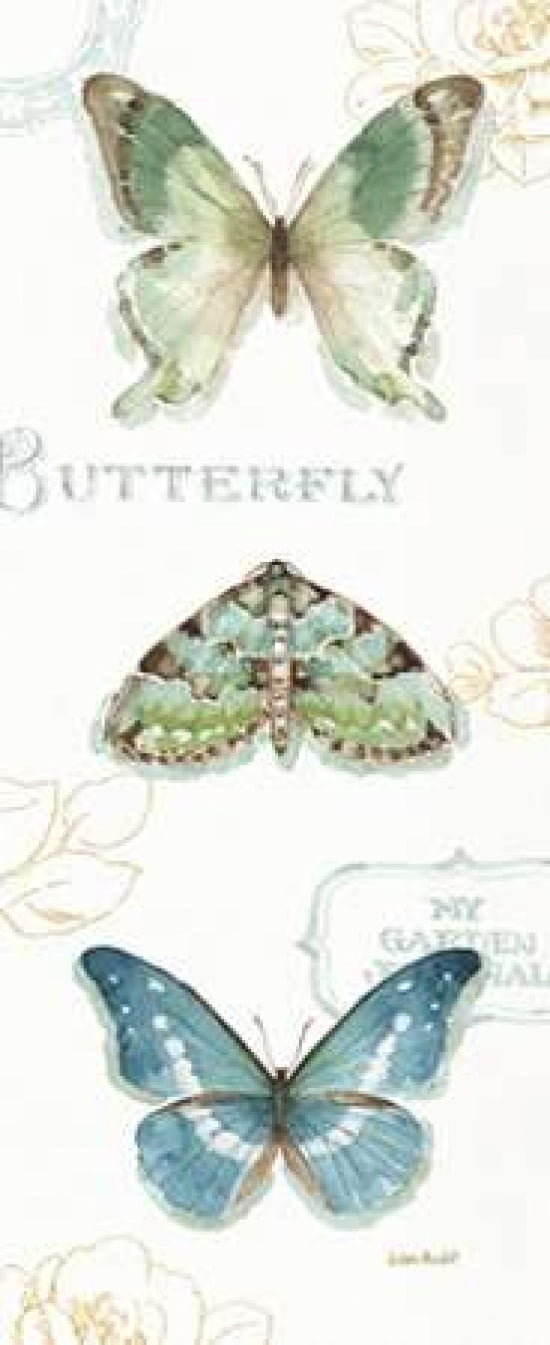 My Greenhouse Butterflies VI Canvas Art - Audit Lisa (24 x 48)