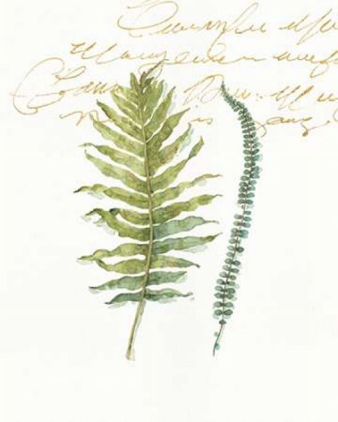 My Greenhouse Fern I Canvas Art - Audit Lisa (24 x 30)