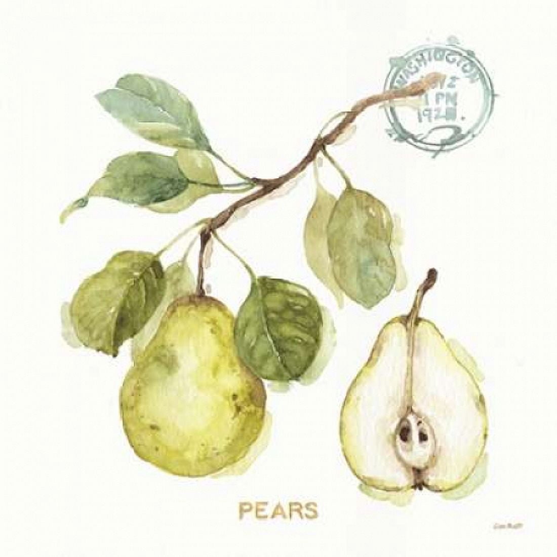 My Greenhouse Fruit I Canvas Art - Audit Lisa (24 x 24)