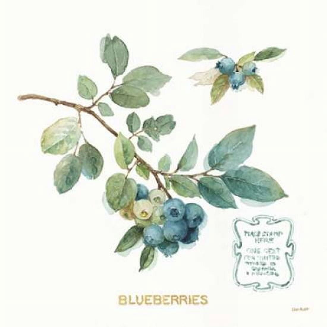 My Greenhouse Fruit II Canvas Art - Audit Lisa (24 x 24)